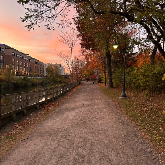 river365